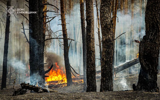 у лісництві на Ізюмщині ліквідували пожежу на 12 га